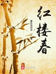 （红楼同人）红楼春